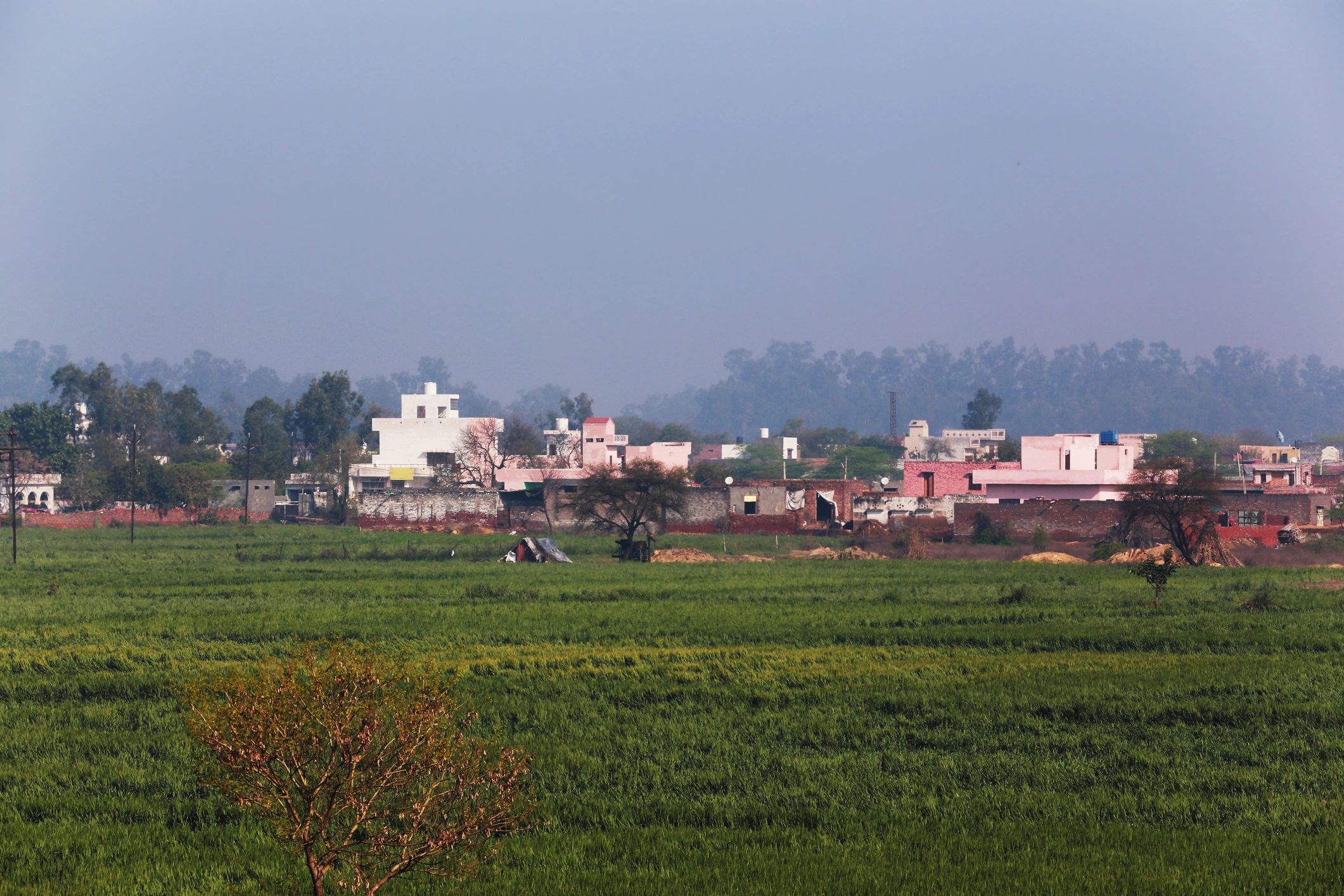 Rural housing and village landscape near green fields